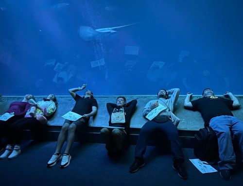 April and Autism: Celebrating Every Step Forward