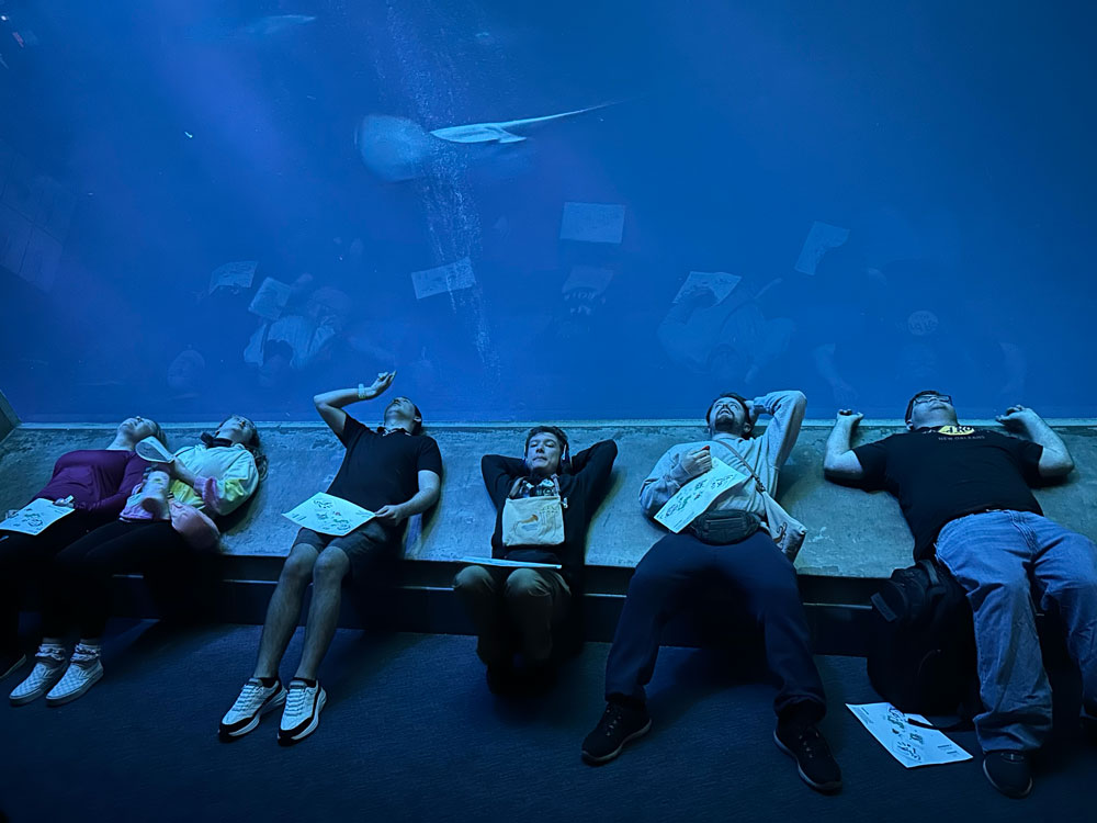 Zach - CLE Rockville